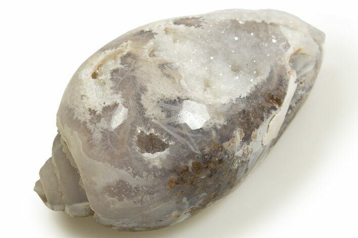 Chalcedony Replaced Gastropod With Sparkly Quartz - India #318704